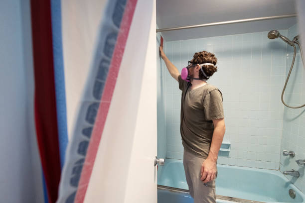 Best Black Mold Removal  in Valley Center, CA