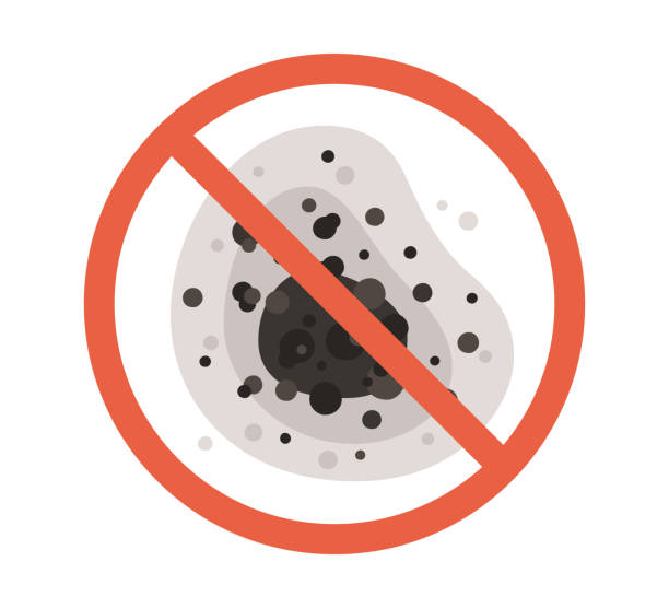 Best Dehumidification Services  in Valley Center, CA