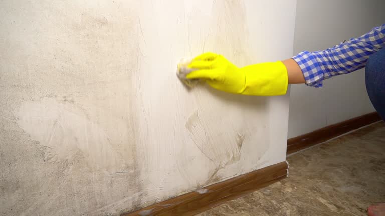 Best Air Quality Testing for Mold Spores  in Valley Center, CA