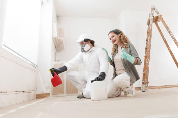 Best Post-Remediation Verification Testing  in Valley Center, CA